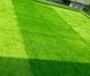 Cozy Artificial Green Grass Carpet at Great Prices – Tsavo Road