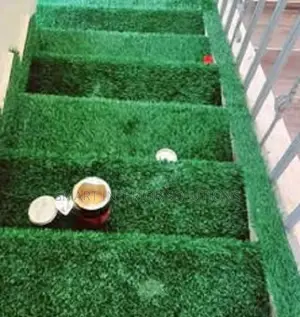 Real Grass Artificial Green Carpet at Odeon, Tsavo Road