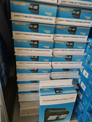 Double Motion Sensor Lights