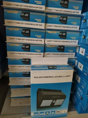 Double Motion Sensor Lights