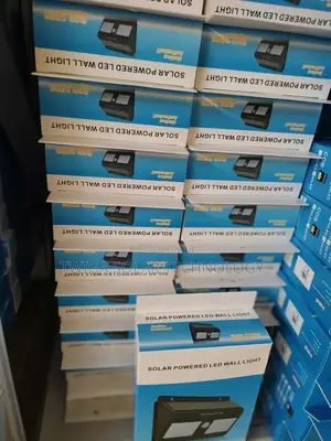 Double Motion Sensor Lights
