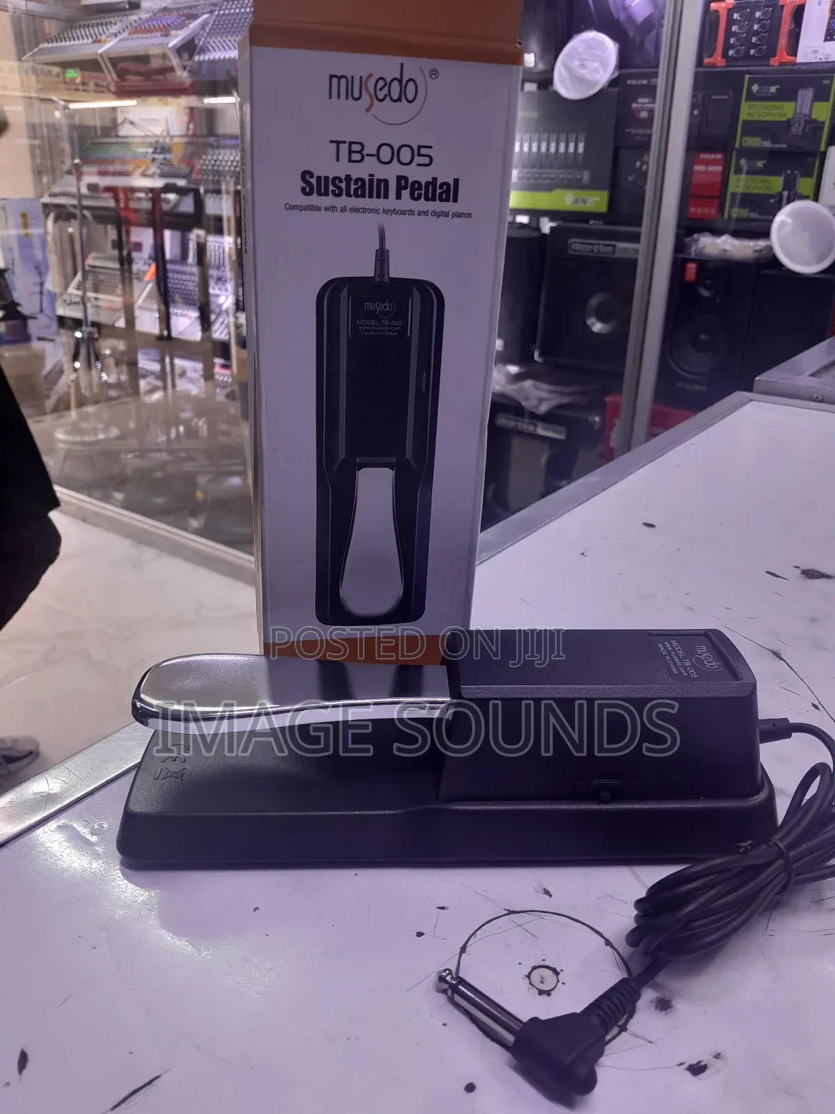 Pedal For All Electric Keyboards