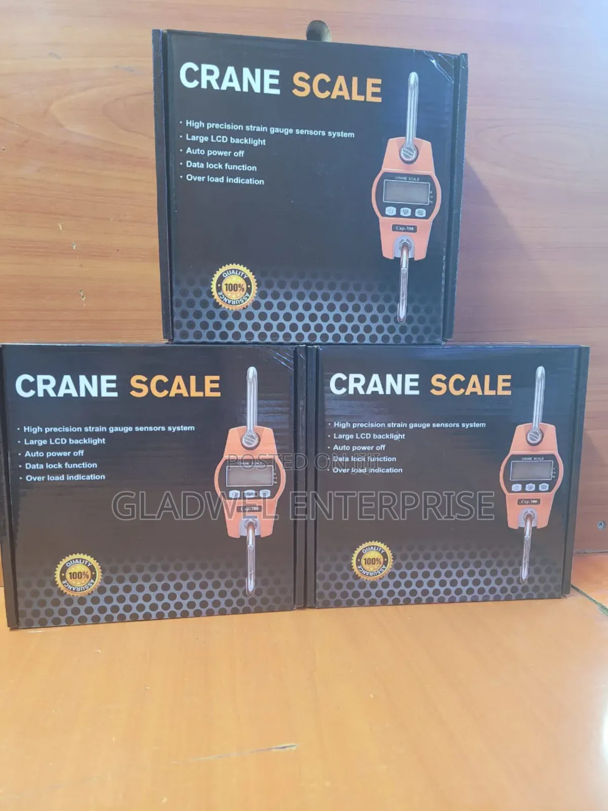 300kg Digital Hanging Scale/Crane Scale
