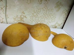 Half Guards Available - thumbnail 2