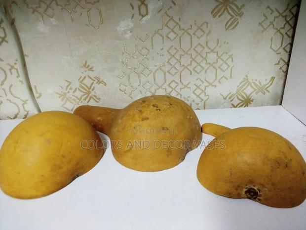 Half Guards Available - thumbnail 3