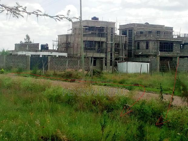 Prime Kamakis Plots - main view