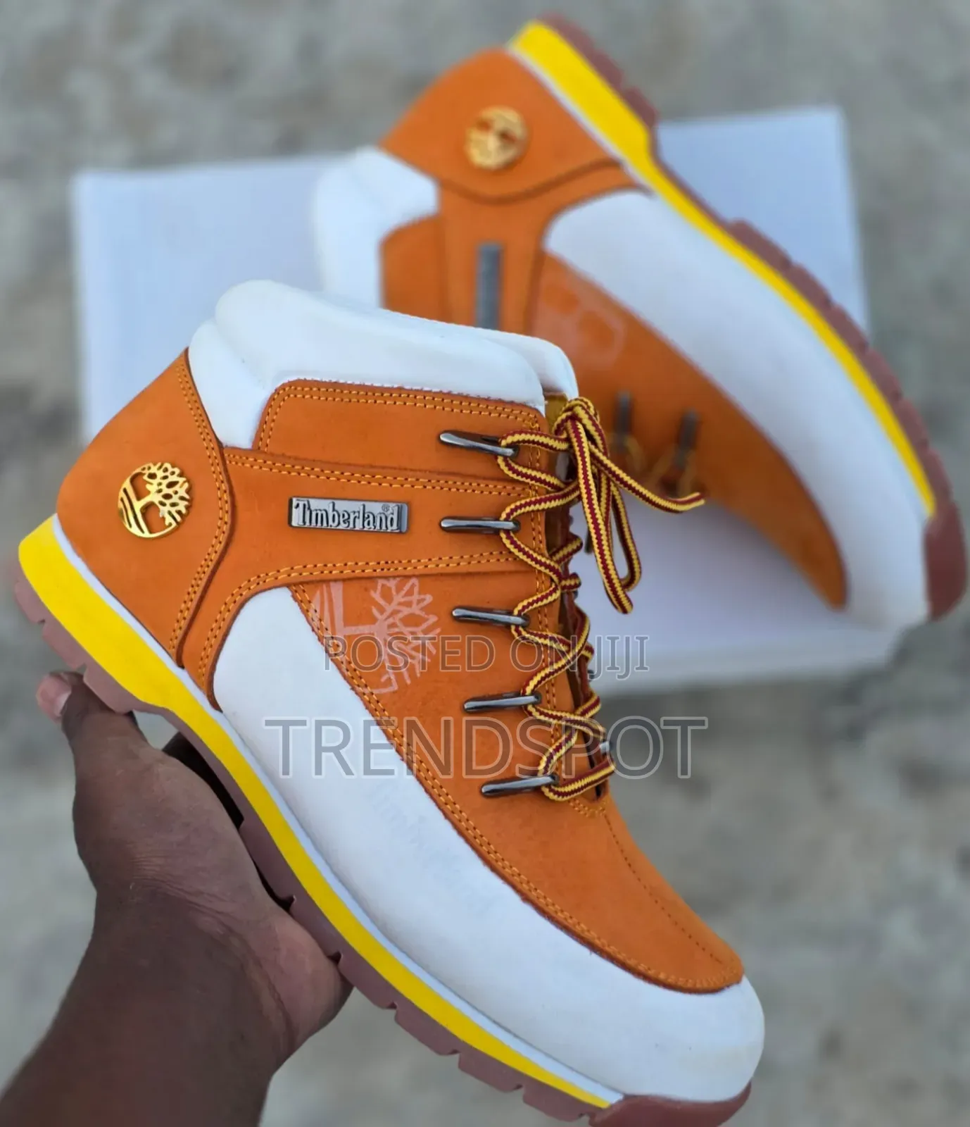 Timber Sport