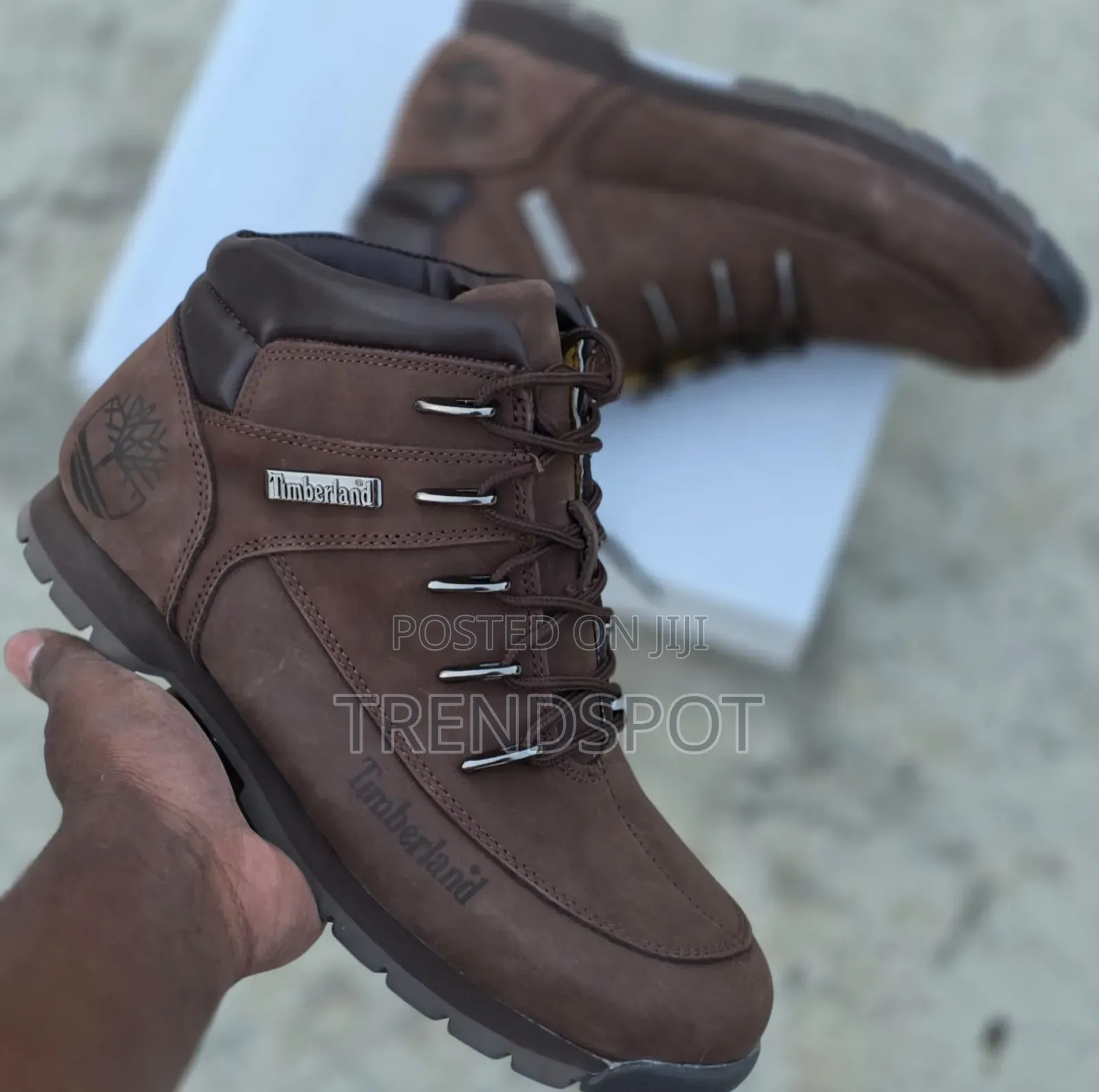 Timber Sport