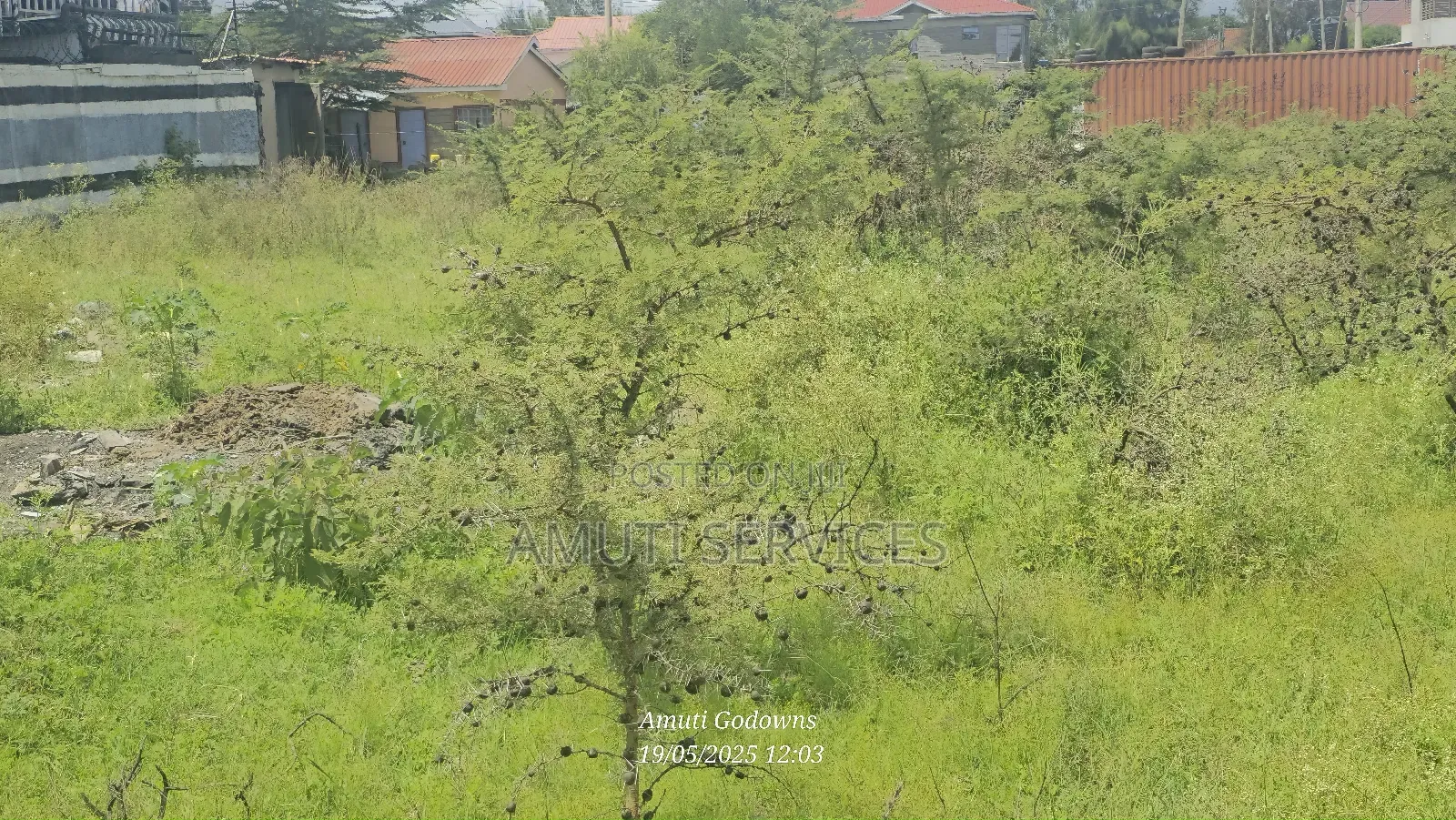 1/4 Acre Plot for Sale