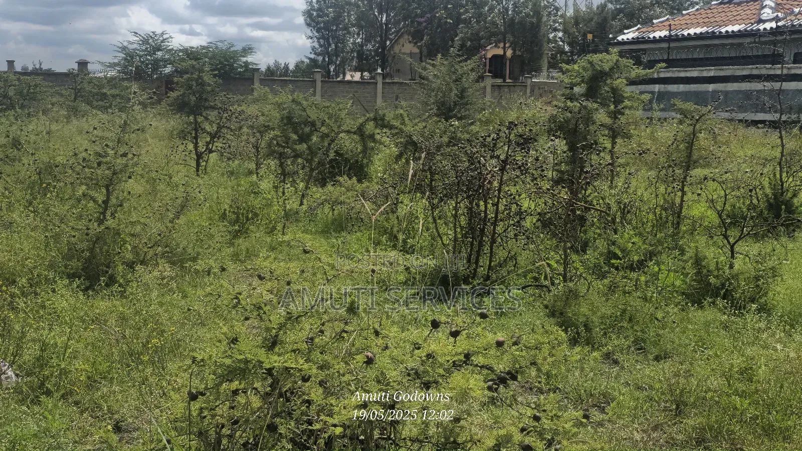 1/4 Acre Plot for Sale