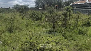 1/4 Acre Plot for Sale