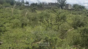 1/4 Acre Plot for Sale