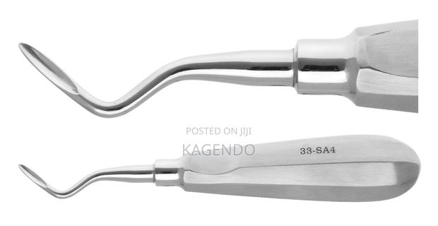 Curved Dental Elevator - main view