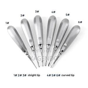 Straight Dental Elevator