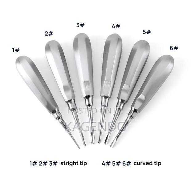 Straight Dental Elevator