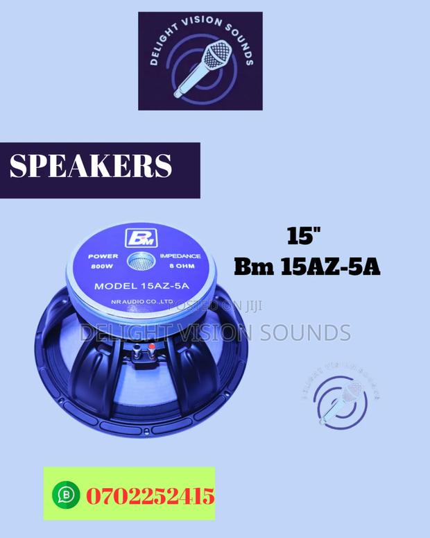 15 Inches Midrange Speakers - main view