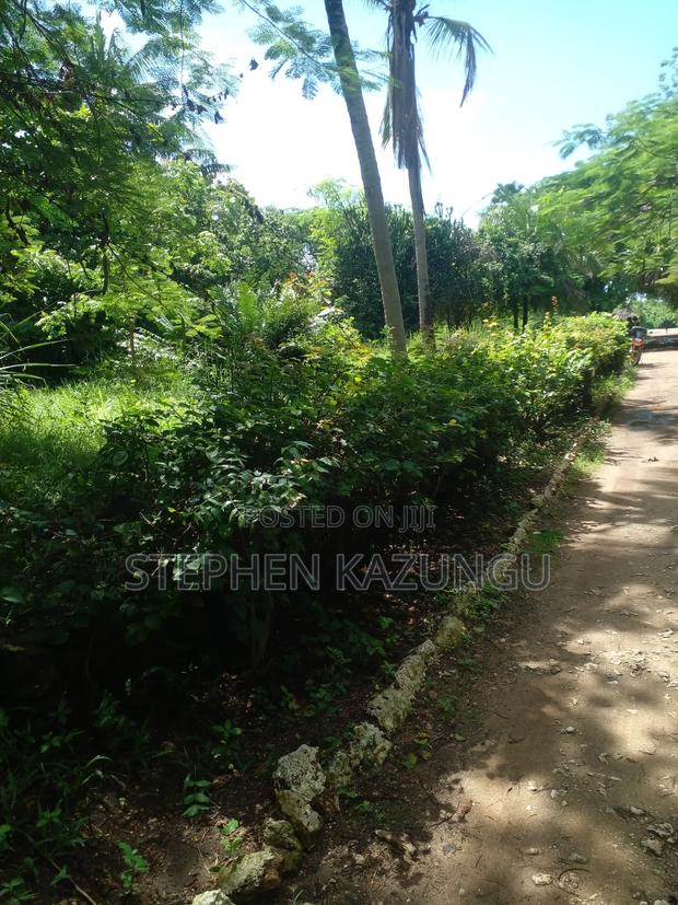 1 Acre Plot on 2nd Row, Tarmac Road Touching in Diani Beach - thumbnail 6
