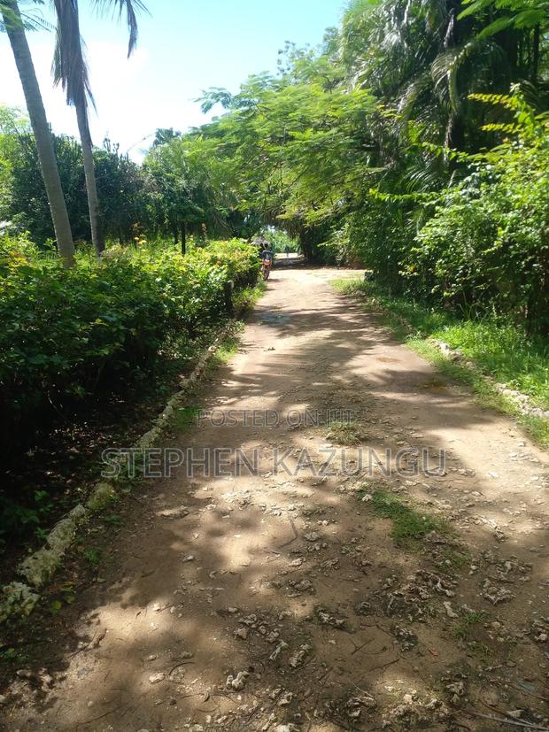 1 Acre Plot on 2nd Row, Tarmac Road Touching in Diani Beach - thumbnail 4