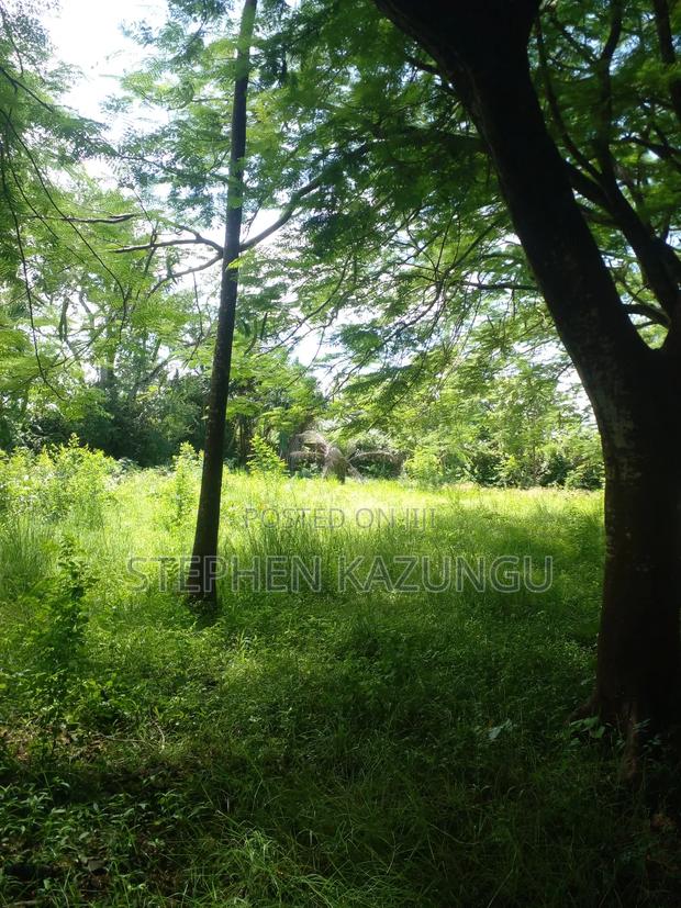 1 Acre Plot on 2nd Row, Tarmac Road Touching in Diani Beach - thumbnail 8