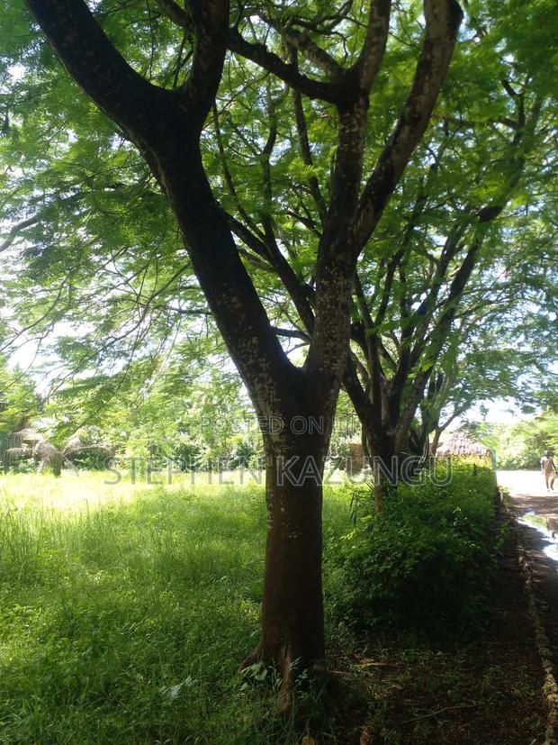 1 Acre Plot on 2nd Row, Tarmac Road Touching in Diani Beach - thumbnail 12