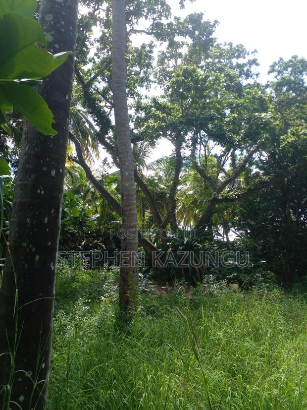 1 Acre Plot on 2nd Row, Tarmac Road Touching in Diani Beach - thumbnail 2