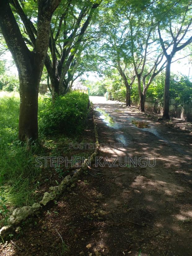 1 Acre Plot on 2nd Row, Tarmac Road Touching in Diani Beach - thumbnail 13