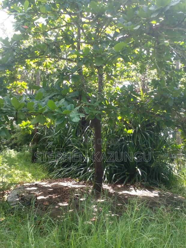 1 Acre Plot on 2nd Row, Tarmac Road Touching in Diani Beach - thumbnail 11
