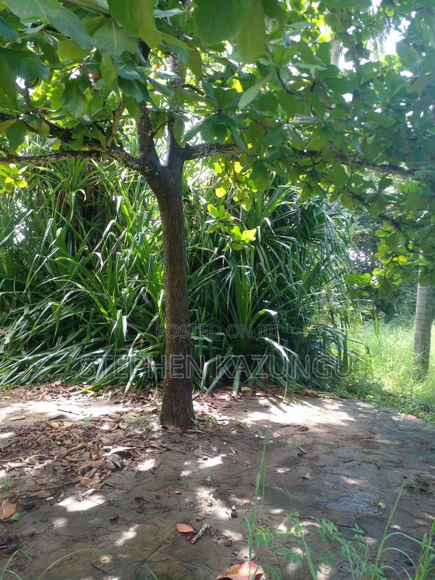 1 Acre Plot on 2nd Row, Tarmac Road Touching in Diani Beach - thumbnail 10