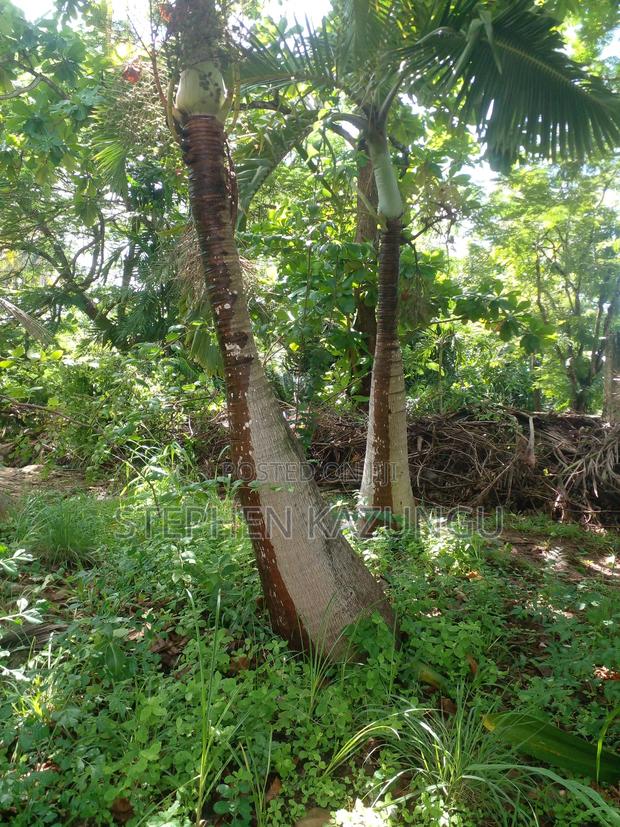 1 Acre Plot on 2nd Row, Tarmac Road Touching in Diani Beach - thumbnail 15