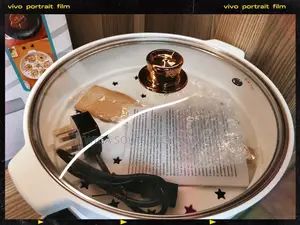 Electric Multifunction Cooking Wok