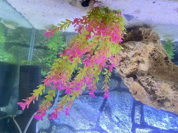 Aquarium Coral Rock – Safe, Stunning Realistic - main view