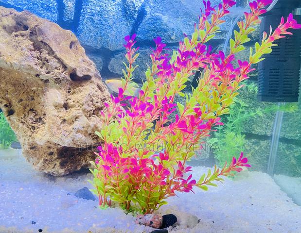 Transform Your Tank With Premium Coral Rock Decor - main view