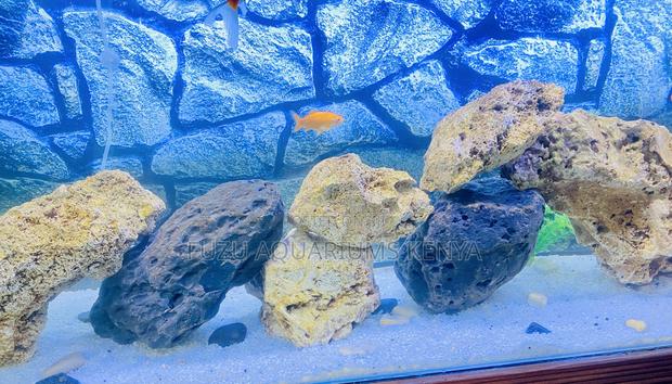 Bring the Reef Home – Vibrant Aquarium Coral Rock - main view