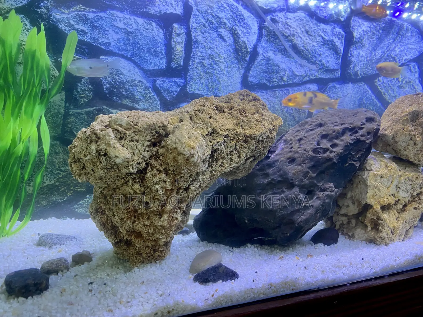 Add Depth With Textured Aquarium Coral Rocks
