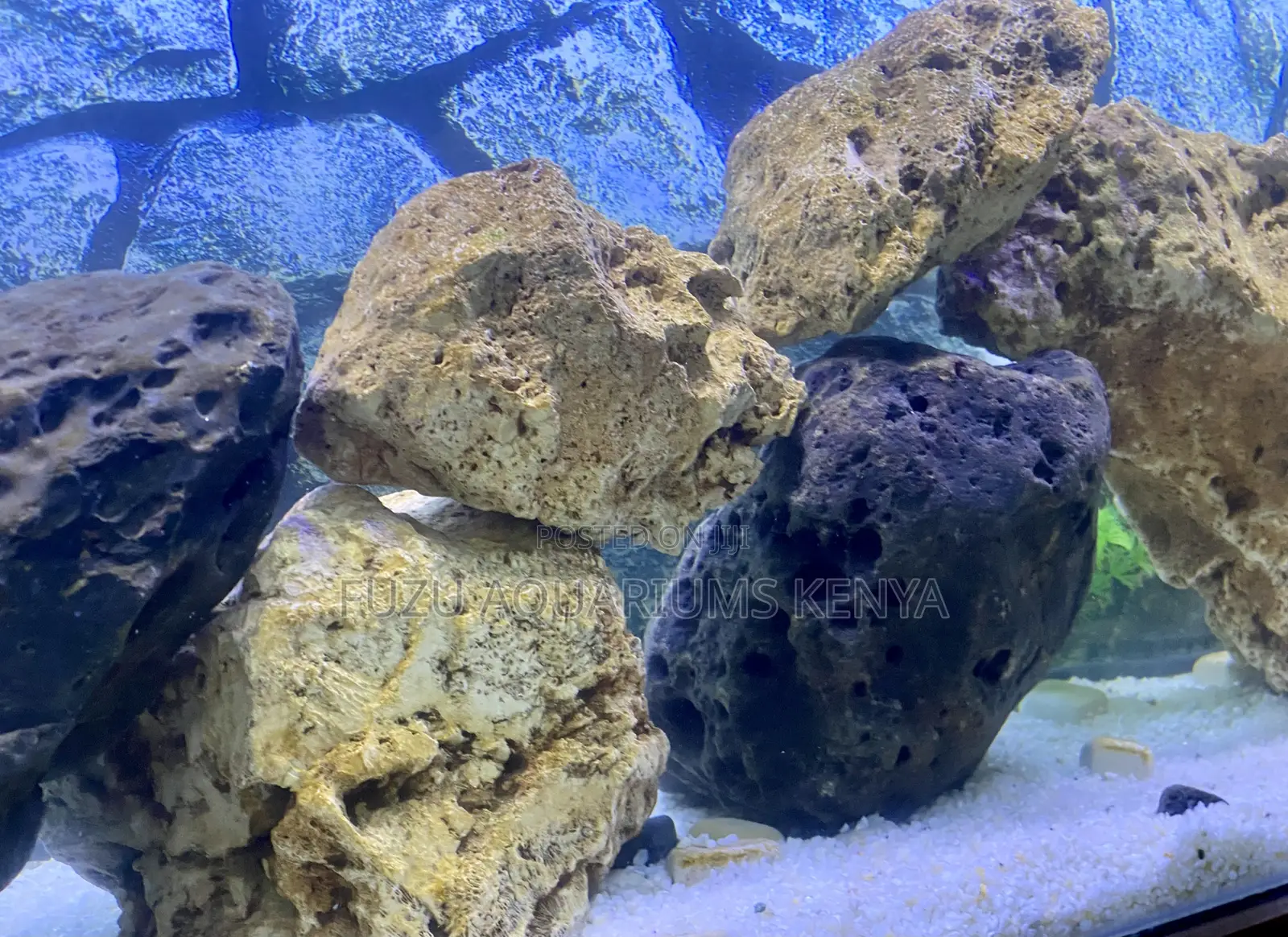 Coral Rock for Salt Freshwater Aquariums –Versatile Safe
