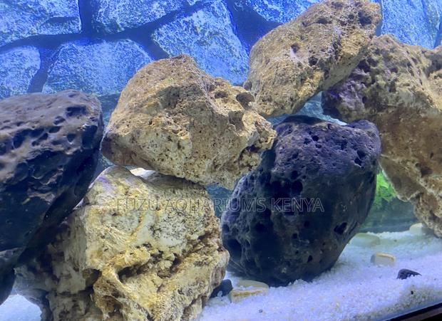Coral Rock for Salt Freshwater Aquariums –Versatile Safe - main view