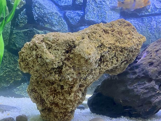 Premium Coral Rock – For Stunning Aquascapes - main view