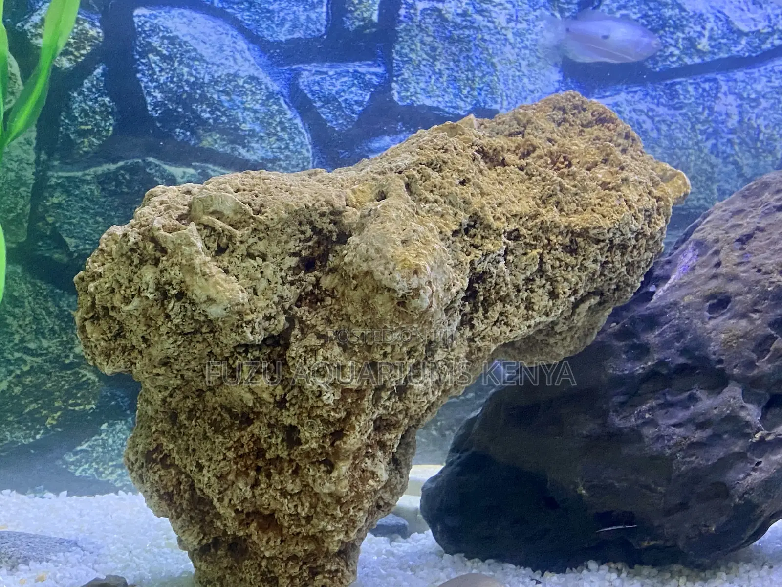 Aquarium Coral Rock – Durable, Beautiful, Function