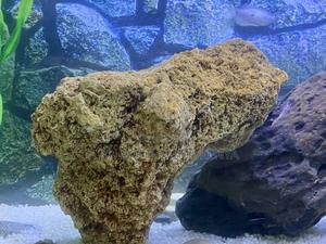 Aquarium Coral Rock – Durable, Beautiful, Function - thumbnail 2