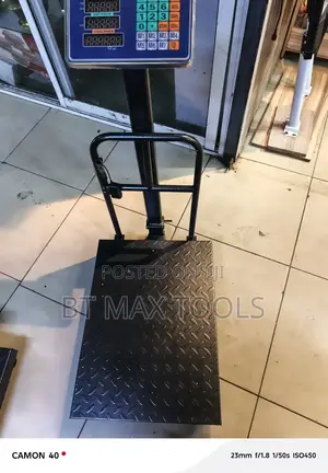 Big Base 300kg Scale