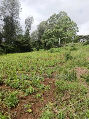 1/8 Acre Ngong - thumbnail 2