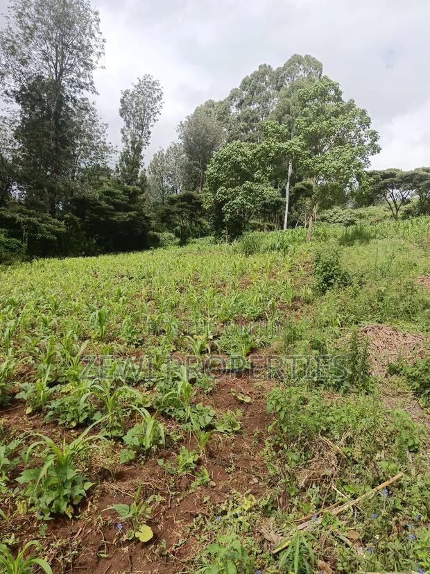 1/8 Acre Ngong - main view