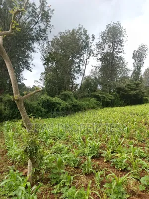 1/8 Acre Ngong