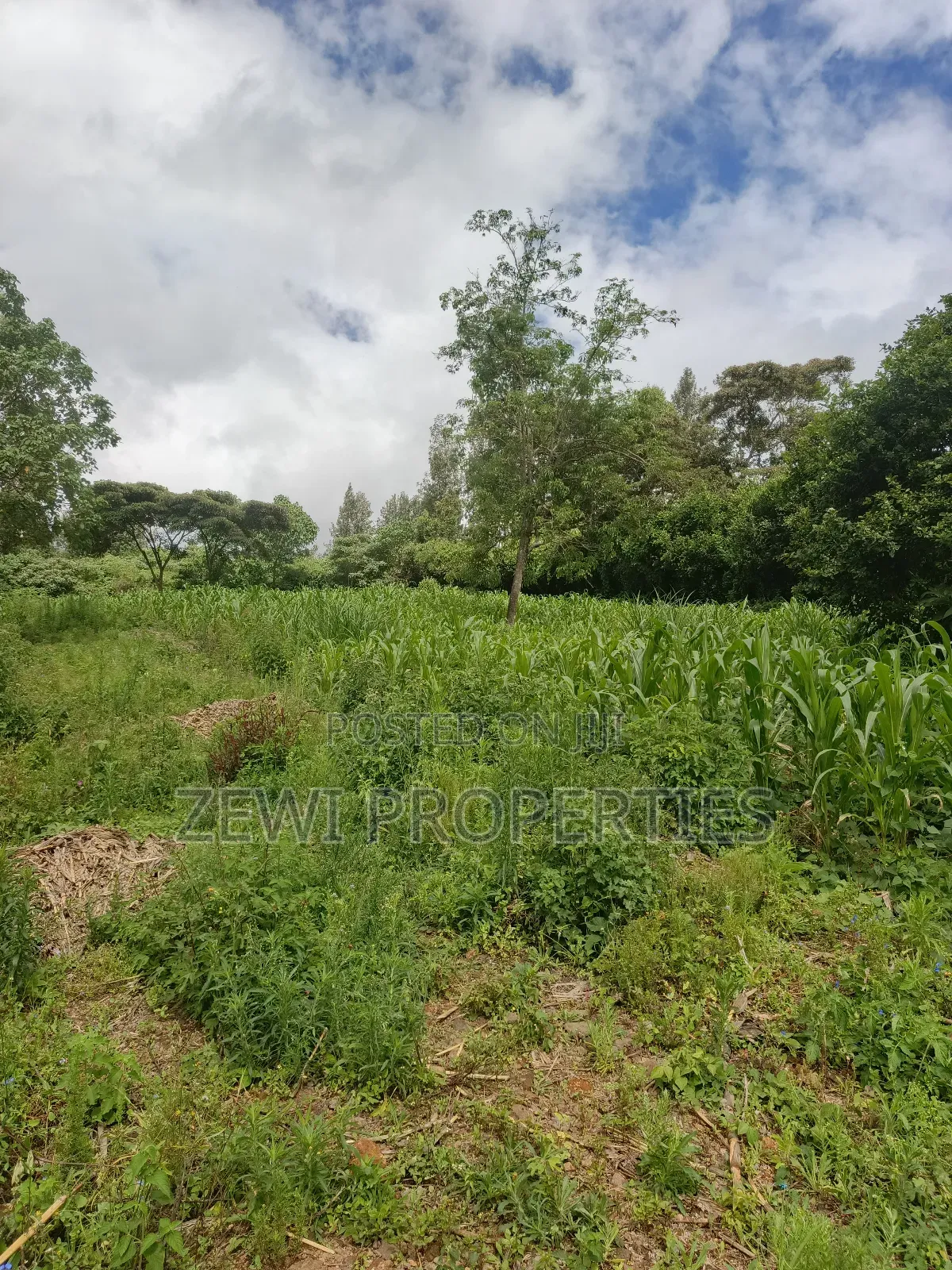 1/8 Acre Ngong