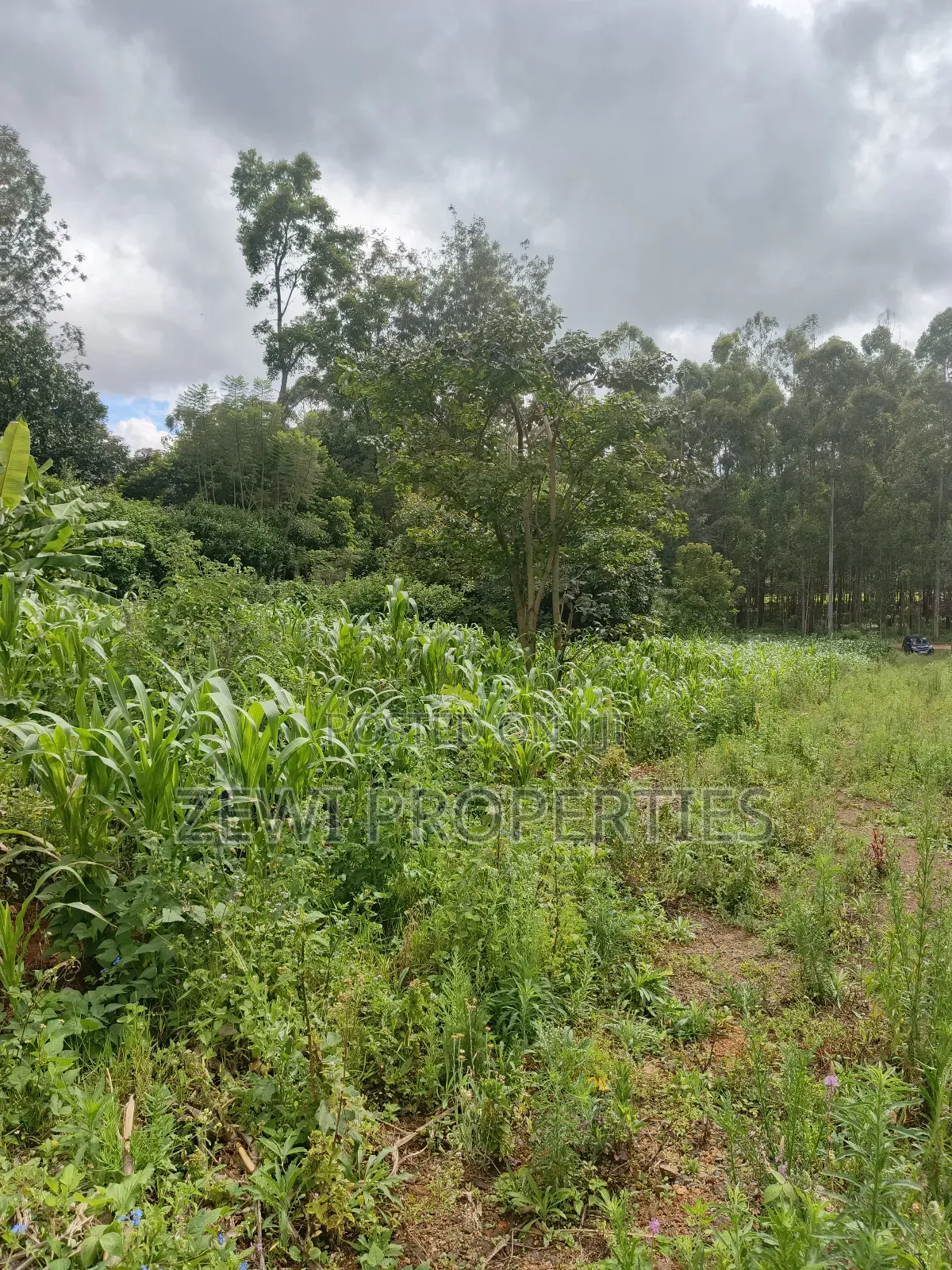 1/8 Acre Ngong