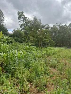 1/8 Acre Ngong