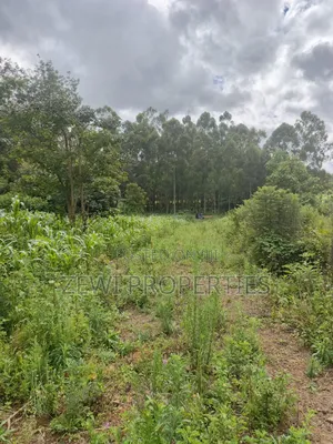 1/8 Acre Ngong