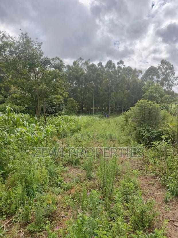 1/8 Acre Ngong - thumbnail 6