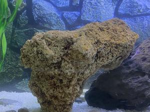 Coral Rock Caves – Ideal for Fish Shelter Style - thumbnail 2