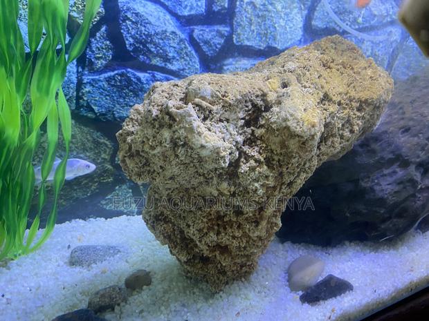 Aquarium Coral Rock Decor – The Reef Look Without the Ocean